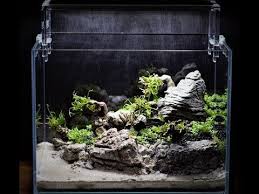 Five Of Six Aquascape Step By Step Dry Start Method Part 1 Youtube Aquascape Nature Aquarium Nano Tank