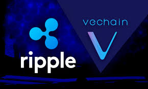 However, after the sec announcement, the price collapsed and now is extremely volatile. There Are Loose Rumors Of A Ripple Vechain Partnership Xlm