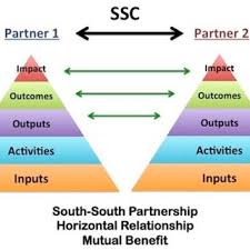 Image result for Phyllanthus pseudocarunculatus