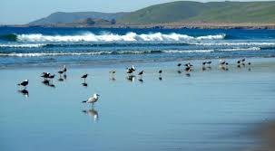 Patricia Everett Photography and Watercolor