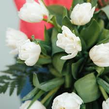 Check spelling or type a new query. Ramo Tulipanes Blancos Floristeria Bourguignon Ramo De Tulipanes Tulipanes Ramo De Tulipanes Blancos