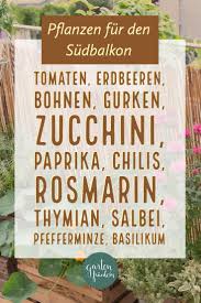 Selbstversorger Balkon Die Basics Garten Fraulein Der Garten Blog Pflanzen Balkon Pflanzen Balkon