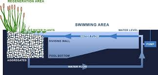 What I Found Interesting This Week 4 7 13 Swimming Pond Natural Pool Natural Swimming Pools