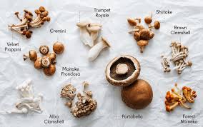How To Cook Different Types Of Mushrooms Scratchpad By Good Eggs Stuffed Mushrooms Food Mushroom Recipes Vegan