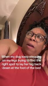 When My Dog Can't Find the Right Spot to Lay Down