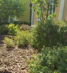 Die Richtige Kornung Bei Rindenmulch Rindenmulch Gartengestaltung Holz Hacken