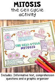 Biochemistry, physiology, morphology, volume iii: Mitosis Cell Cycle Teach Your Grade 6 7 And 8 Science Students About Interphase Prophase Metaphase An Biology Classroom Cell Cycle Cell Cycle Activity