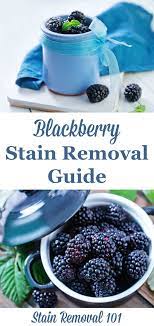 Vinegar can be used for both whites and colored fabrics so it is a great way to remove berry stains from clothes. Blackberry Stain Removal Guide