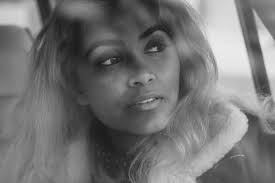 Neil Richards Photography