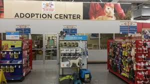 Visit them at 59 fort couch road, bethel park, pa 15241 (412.835.6008). Petco Adoption Center Fresno