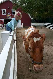 Need A Day Out With Your Little Ones Try The Cosley Zoo Midwest Weekend Getaways Zoo Day Trips