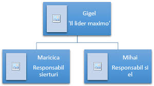 Organigrama unei firme found at ro.wikipedia.org, scribd.com, documents.tips and etc. Organigrama In Excel Excelninja Ro