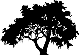 Cavin Harper Speaks At Live Oaks Center Pawley S Island Pass Oak Tree Silhouette Tree Silhouette Clip Art