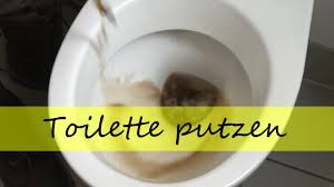 Die wichtigsten mittel gegen harnstein finden sie hier! Putz Trick So Werden Sie Braune Ablagerungen In Der Toilette Endlich Los Wohnen