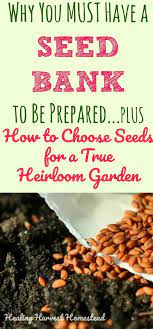Why You Must Keep A Seed Bank Things To Consider All Posts Healing Harvest Homestead Seed Bank Seeds Seed Storage