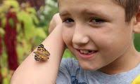 Butterflies released to mark World Suicide Prevention Day in Sudbury