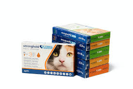 4,4 sur 5 étoiles 148. Stronghold Plus Chat