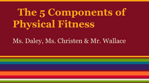 It helps you to stay fit. Ppt The 5 Components Of Physical Fitness Powerpoint Presentation Free Download Id 3126316