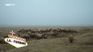 Las fierbinti ang kyutt na. Celentano A Furat Pensia Las Fierbinti Cut By Pufuleti Tv