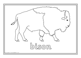 Download and print these north america coloring pages for free. North American Animals Colouring Sheets Sb9074 Sparklebox