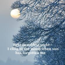 Light In Coldest Night Haiku Poems Cold Night Haiku