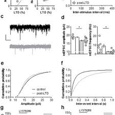 We report that mglu3 receptors, which are. Mglu3 Ltd Is Mediated By Ampar Internalization A Left Significant Download Scientific Diagram