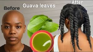 Virtue Hair Care Q&A with Xavier Velasquez