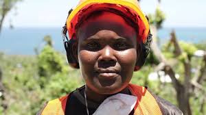 Haiti Sustainable Tree Recovery Program