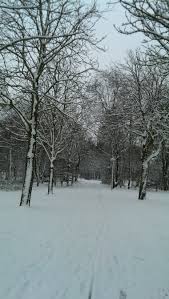 Dit is de eerste sneeuw in nederland opgenomen in ermelo bij de schaapskooi. Geschiedenis Sneeuwval In Nederland Franks Weer