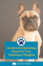 Grassroots Marketing Ideas For Your Veterinary Hospital Veterinary Hospital Hospital Marketing Grassroots Marketing