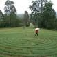 Labyrinth Walk – A Journey to Peace — The 3 Rivers event image