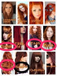Pretty Shades Of Red Shades Of Red Hair Copper Hair Color Hair Shades