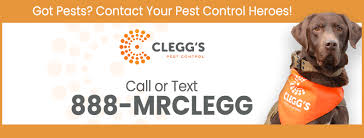 Mice & rat pest control: 4baydipx T4mlm