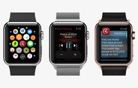 The apple watch app will show you information about the series you've chosen. Apple Watch The Control4 App Best Apple Watch Apps Hd Png Download Kindpng