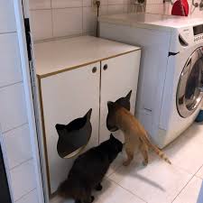 Caixa De Areia Grande Para Gatos Aseo Doble Areia De Gato Gatos E Caixa De Areia