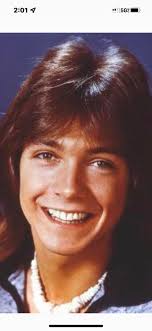 Any David Cassidy Fans? How about Bobby Sherman?