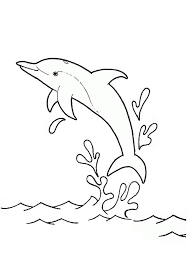 Free Online Dolphin Colouring Page Dolphin Coloring Pages Colouring Pages Sun Coloring Pages