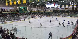 Northern Michigan Explores Womens Hockey Western