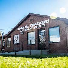 Hours may change under current circumstances University Veterinary Hospital Diagnostic Center Home Facebook