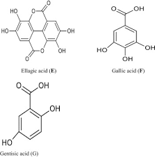 Image result for Voacanga pachyceras