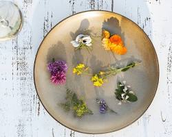 Image of plate with edible garnish