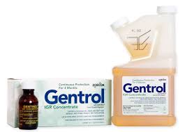 If caught early enough, the bugs can be isolated to a specific room, but a professional pest management company will need to do an assessment to determine if. Gentrol Igr Concentrate With Gencor Concentration Pest Control Cockroaches