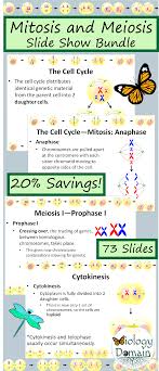 Cell Division Mitosis And Meiosis Powerpoint Slide Show Bundle Cell Division Cell Cycle Meiosis