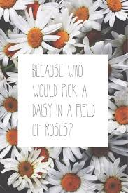 Pin By Yuliya Tkachenko On Quotes Daisy Quotes Flower Quotes Daisy Tumblr