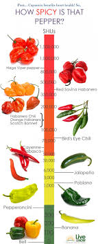 how spicy is that pepper infographic i really like this