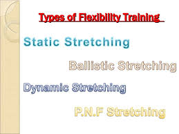 Types Of Flexibility Training