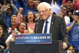 I am the bird that changed the world. Bernie Sanders Perfect Response When A Bird Crashed His Speech