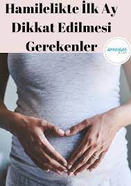 Hamileligin Her Ani Cok Onemli Ama Ilk Haftalar Hem Acemilik Hem De Hamileligin Gidisati Icin Cok Onemli Bir Surec Olmasi Sebebiyle Daha Hamilelik Yuzler Anne