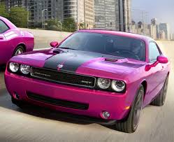 Image result for Furious Fuchsia 2010 Challenger