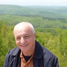 fox chasing rabbit for food